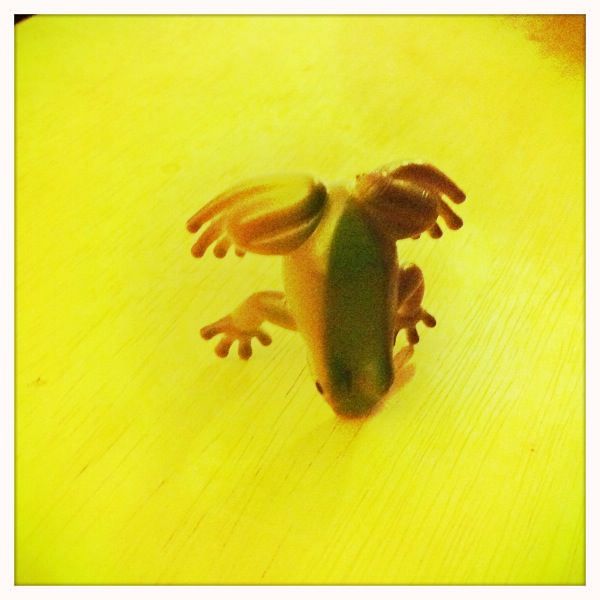 balanced frog