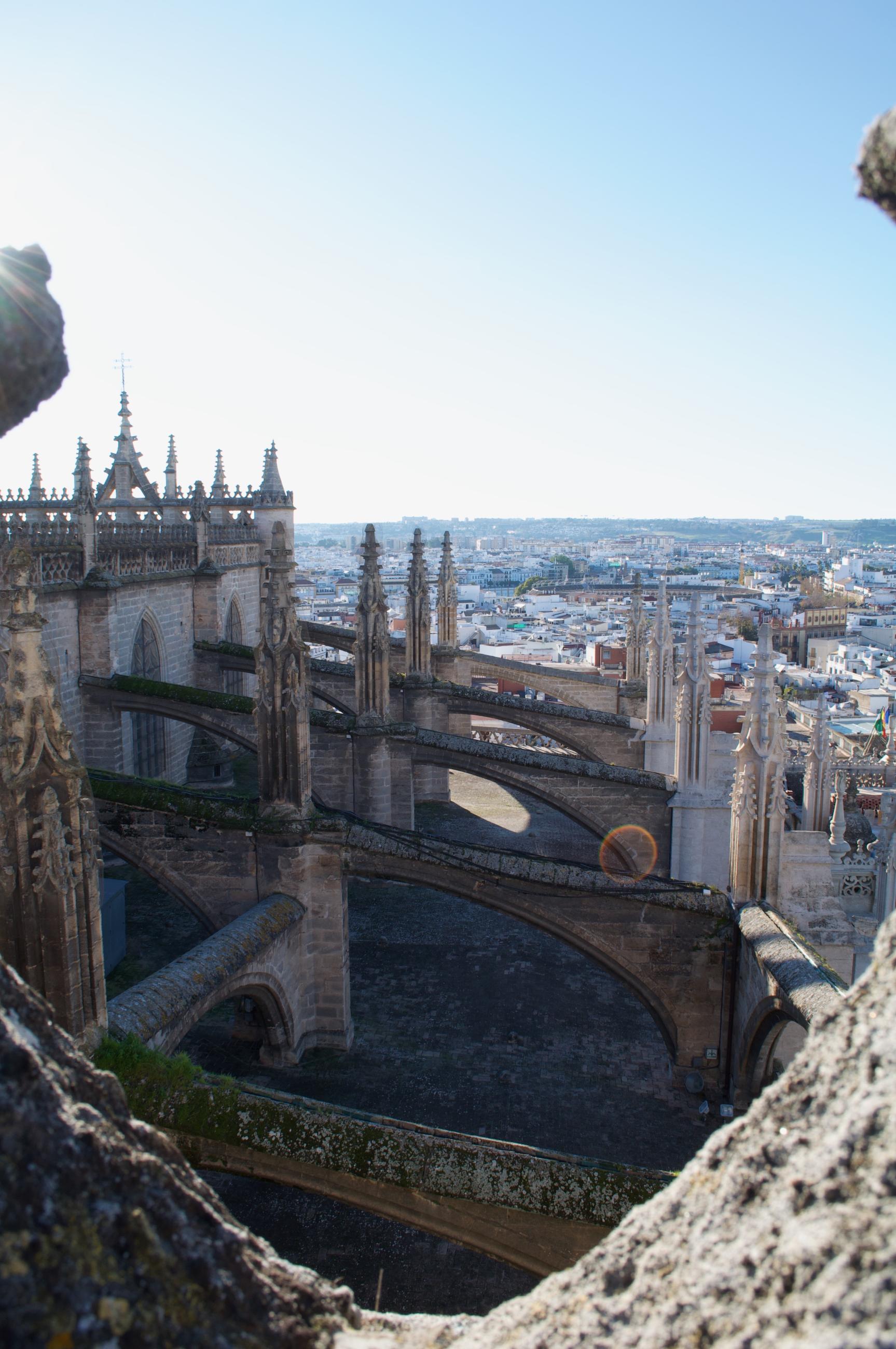 Flying Buttresses