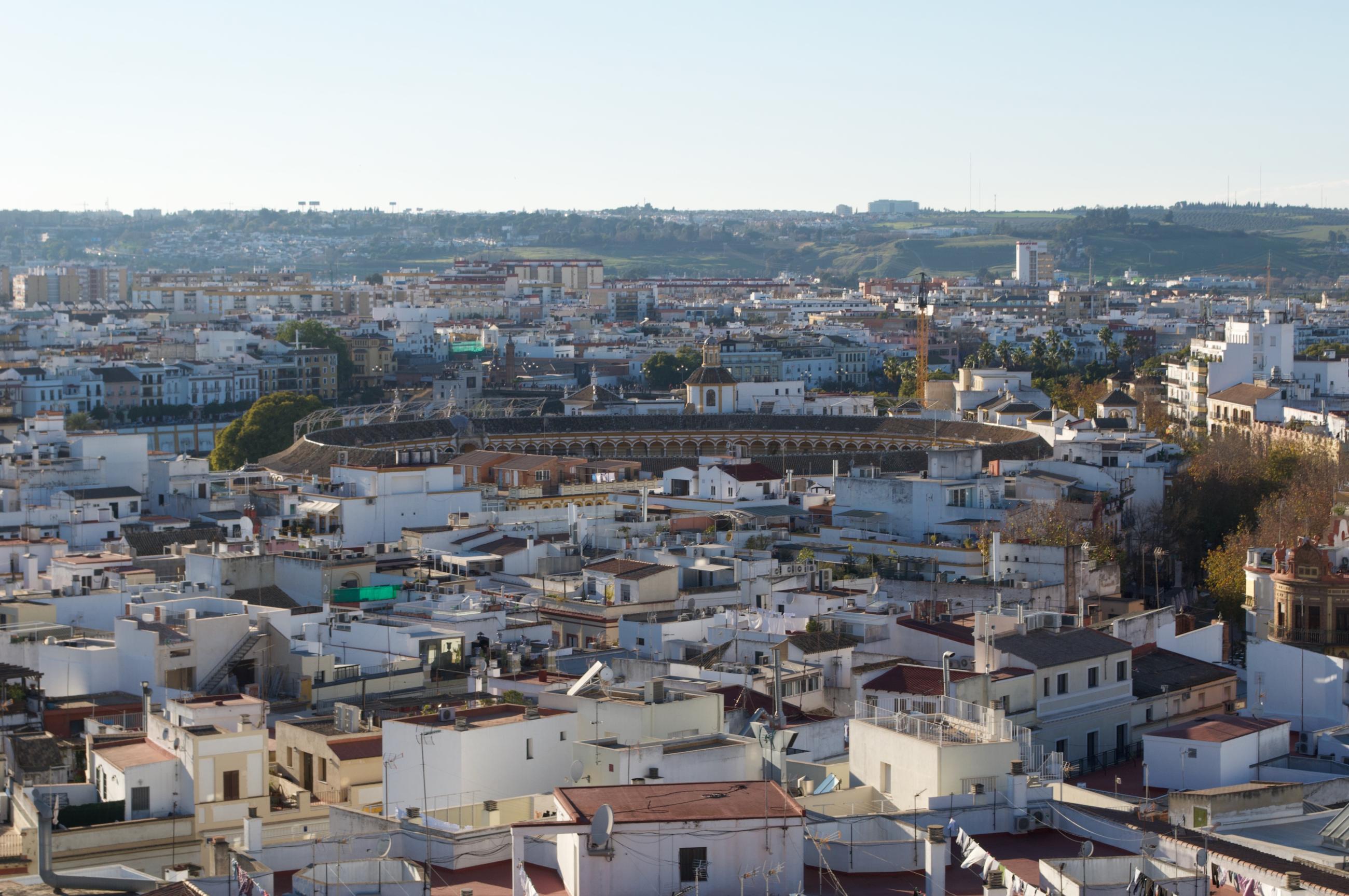 Bull Stadium and City from the Cathedral Roof Top