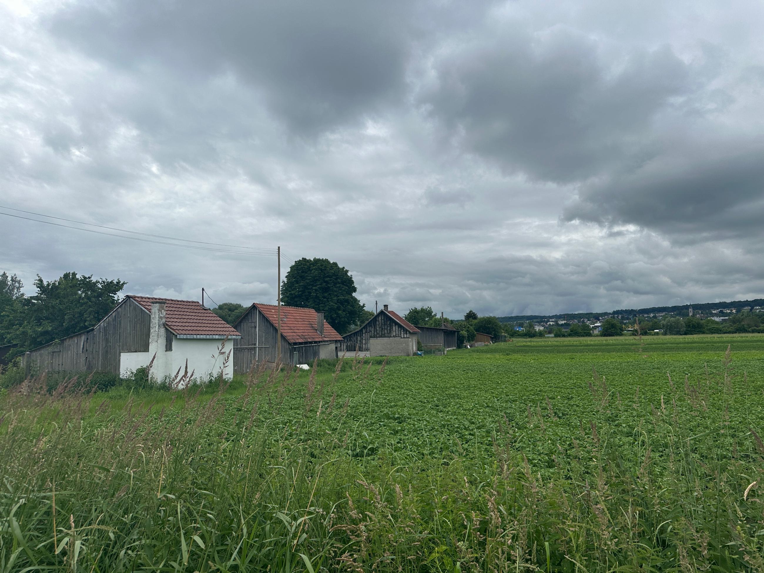 farm land in konstance germany