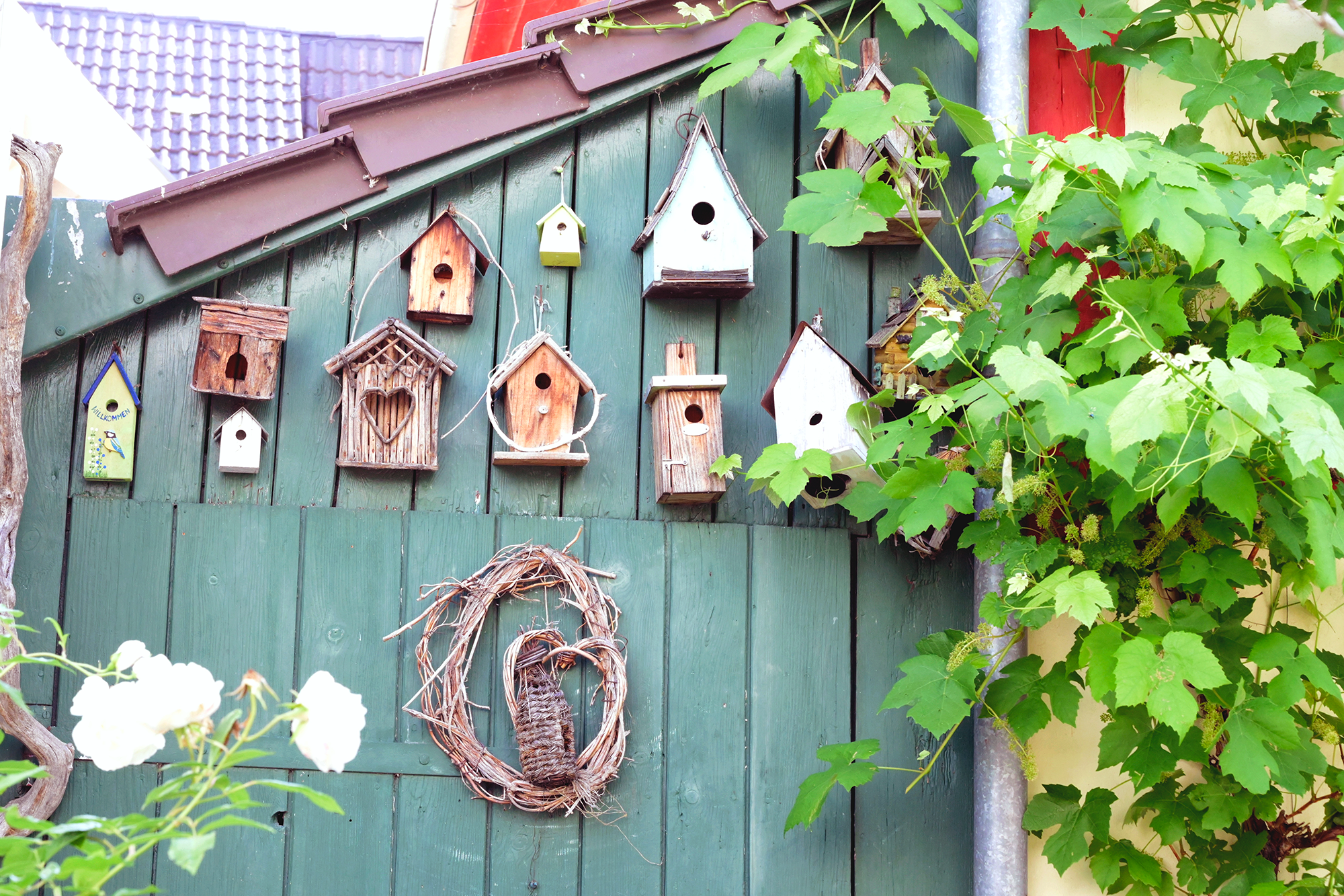 beautiful bird houses in Wangen Germany