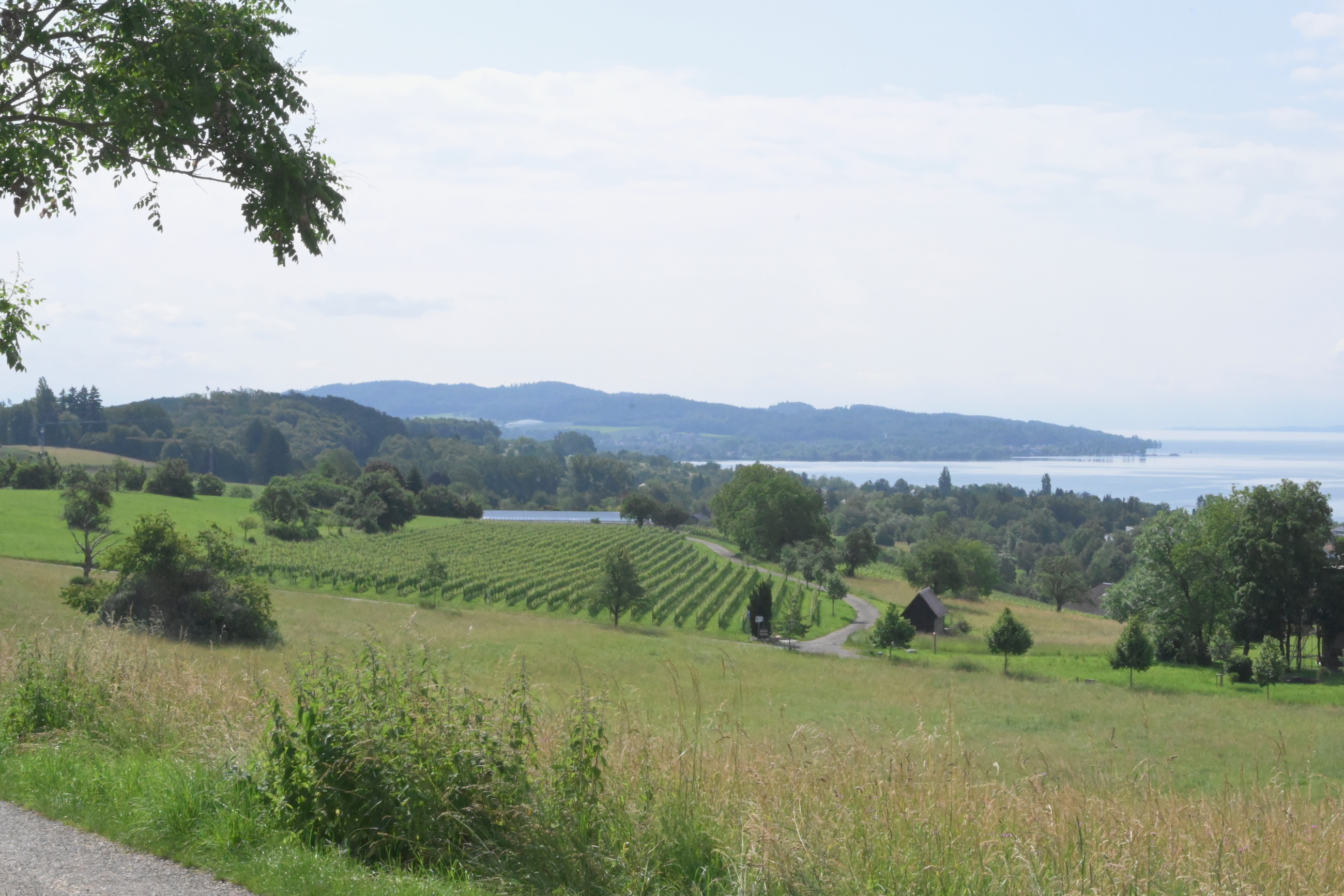 lake view near wangen germany on bike ride
